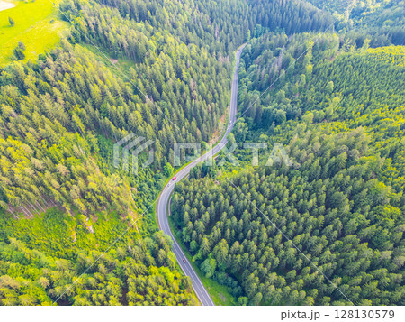 A serpentine asphalt road meanders through a vibrant green forest valley, framed by tall trees under a clear sky. Nature thrives in this serene landscape. A serpentine asphalt road meanders through a vibrant green forest valley, framed by tall trees under a clear sky. Nature thrives in this serene landscape. 128130579