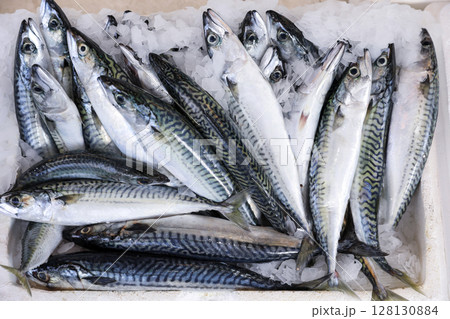 Mackerel fishes in box at Greek fish market. Horizontal. Top view. 128130884
