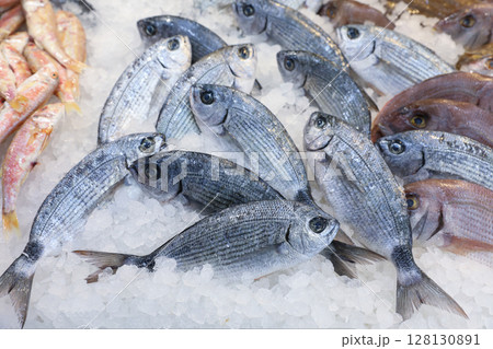 Fresh catches seabream or Sargo fishes on ice at Greek fish market, highlighting local specialties and attracting customers eager for high quality ingredients. 128130891