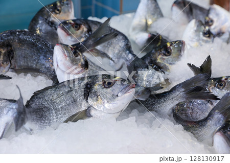Fresh sea bass fishes on ice in Greek fish market. Horizontal. Daylight. Close. Fresh sea bass fishes on ice in Greek fish market. Horizontal. Daylight. Close. 128130917