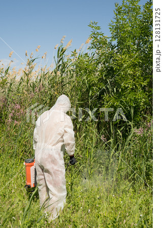 A man in a protective suit processes reeds using a poison sprayer. Weed killer. Destruction of grass, weed control 128131725