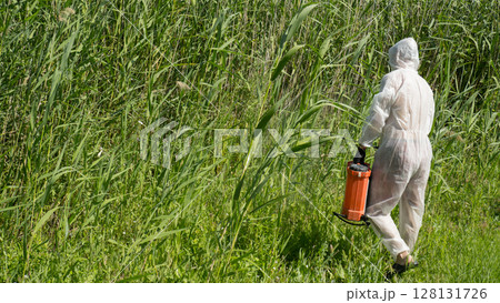 A man in a protective suit processes reeds using a poison sprayer. Weed killer. Destruction of grass, weed control 128131726