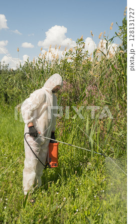 A man in a protective suit processes reeds using a poison sprayer. Weed killer. Destruction of grass, weed control 128131727