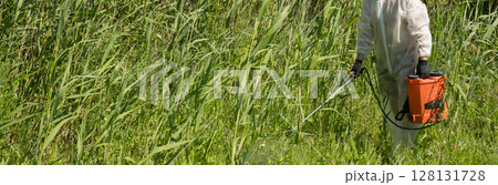 A man in a protective suit processes reeds using a poison sprayer. Weed killer. Destruction of grass, weed control 128131728