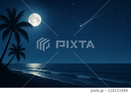 月夜のビーチと流れ星 月夜のビーチと流れ星 128131989