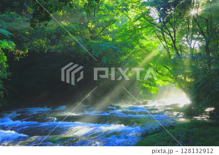 光さす新緑の菊池渓谷(菊池市) 光さす新緑の菊池渓谷(菊池市) 128132912