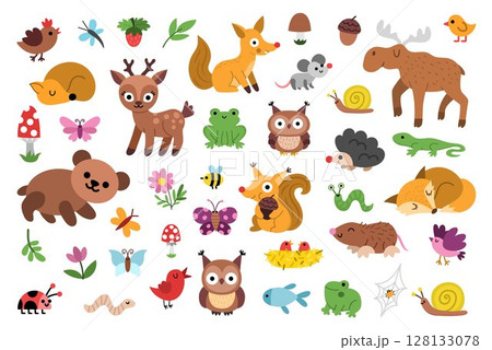 Vector woodland animal clipart set. Cute forest creature icons. Cartoon illustrations with birds, insects, fish, berry. Pack with bear, deer, fox, owl, frog, mole, hedgehog, butterfly, nest 128133078