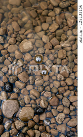 Wet pebbles on the beach 128133156