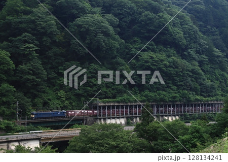 新緑に染まる木曽路を力走するEF64-1033号機牽引の貨物列車(81レ)_2025/7/1撮影 128134241