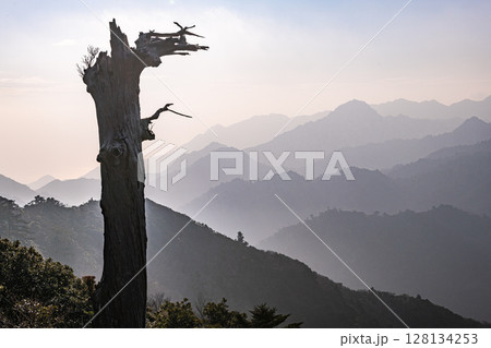 幻想神秘 太鼓岩から 白骨樹と洋上アルプス屋久島(冬 幻想神秘 太鼓岩から 白骨樹と洋上アルプス屋久島(冬 128134253