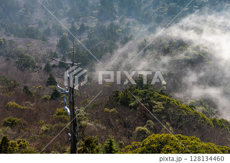 幻想神秘 太鼓岩から 屋久島国立公園(冬 幻想神秘 太鼓岩から 屋久島国立公園(冬 128134460