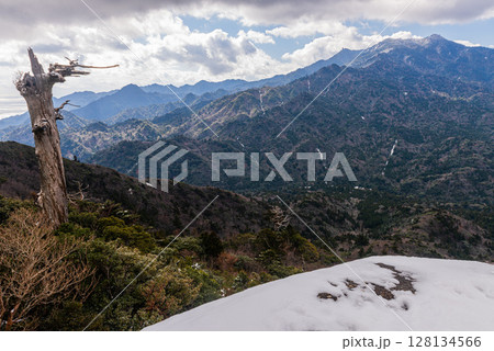 太鼓岩 白骨樹と洋上アルプス屋久島(冬 太鼓岩 白骨樹と洋上アルプス屋久島(冬 128134566