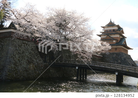 諏訪湖畔の桜の名所高島公園 諏訪湖畔の桜の名所高島公園 128134952
