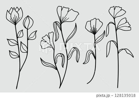 A collection of hand-drawn botanical line art featuring flowers, leaves, and wildflowers illustration. A collection of hand-drawn botanical line art featuring flowers, leaves, and wildflowers illustration. 128135018
