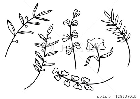 Hand drawn line art botanical leaves and flowers elements collection. 128135019