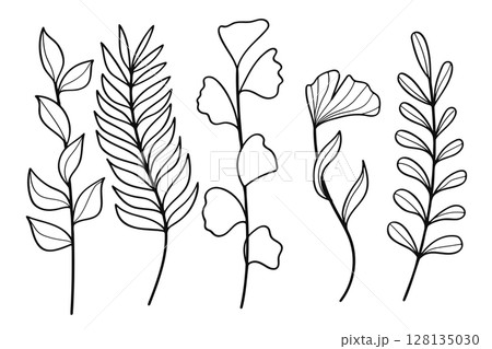 Hand drawn line art botanical leaf and floral elements collection. Vector illustration. 128135030
