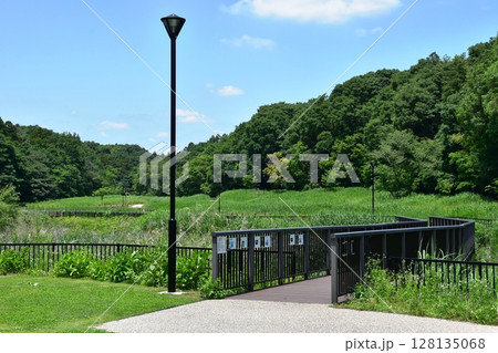 神奈川県　藤沢市立遠藤笹窪谷公園の橋と散策路 128135068