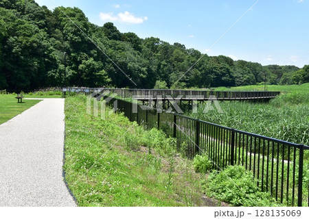 神奈川県　藤沢市立遠藤笹窪谷公園の橋と散策路 128135069
