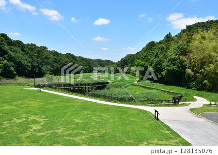 神奈川県　藤沢市立遠藤笹窪谷公園の全景 128135076