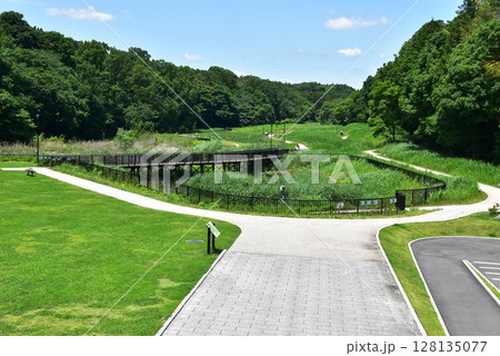 神奈川県　藤沢市立遠藤笹窪谷公園の全景 128135077