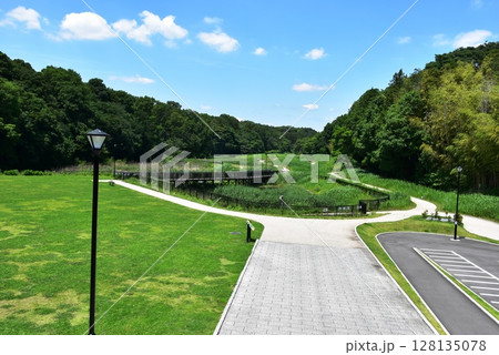 神奈川県 藤沢市立遠藤笹窪谷公園の全景 神奈川県 藤沢市立遠藤笹窪谷公園の全景 128135078