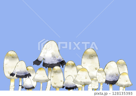 ササクレヒトヨタケ ササクレヒトヨタケ 128135393