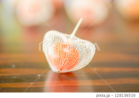 庭で育った鬼灯で作った透かしホオズキをテーブルに置いて撮影した写真。 庭で育った鬼灯で作った透かしホオズキをテーブルに置いて撮影した写真。 128136510