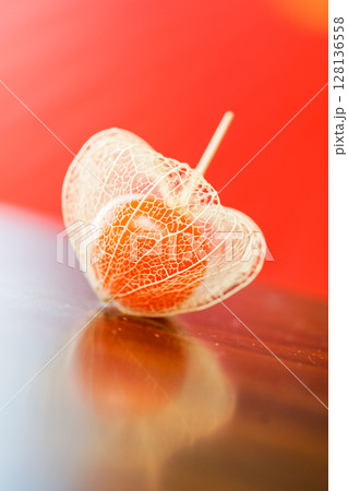 庭で育った鬼灯で作った透かしホオズキをテーブルに置いて撮影した写真。背景に赤い和傘を添えて。 128136558