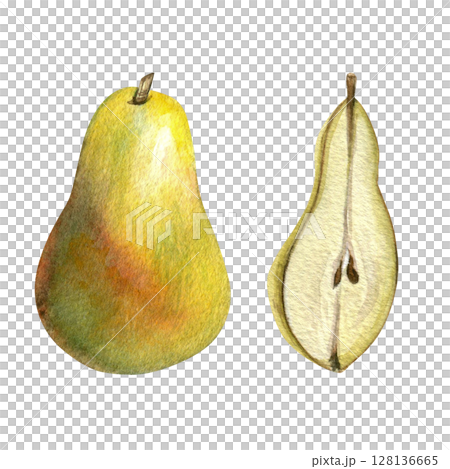 Yellow pear, half of a pear - hand drawn watercolor illustration, isolated on transparent background for fabric, textile, prints, design 128136665