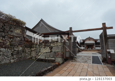 篠山城の鉄門跡と復元大書院(兵庫県丹波篠山市) 篠山城の鉄門跡と復元大書院(兵庫県丹波篠山市) 128137003