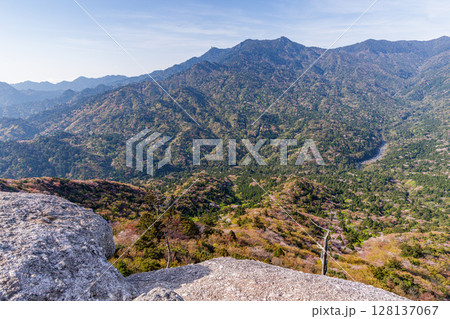 山桜と新緑　太鼓岩から　洋上アルプス屋久島(春 128137067