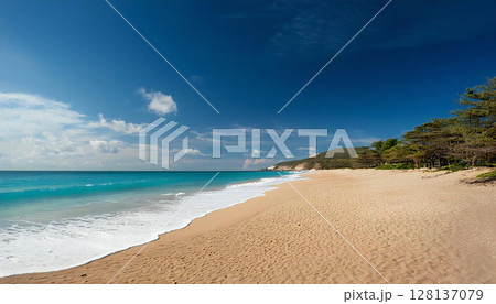 広い砂浜 青空 広い砂浜 青空 128137079