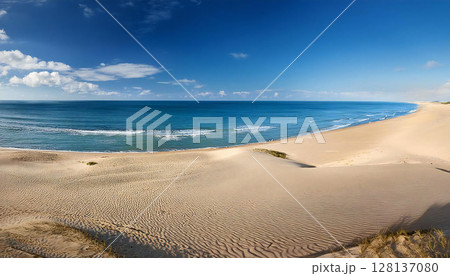広い砂浜 青空 広い砂浜 青空 128137080