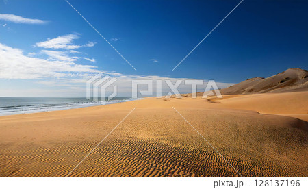 砂浜 128137196