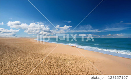 砂浜 128137197