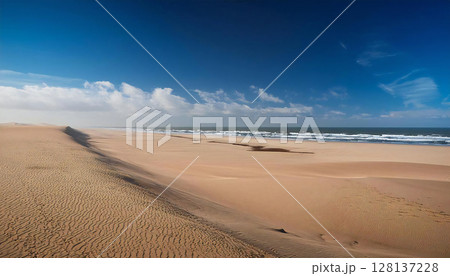 海　砂浜　海岸　青空 128137228