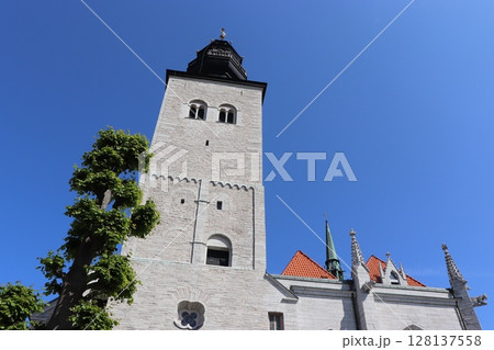 ヴィスビュー大聖堂 128137558