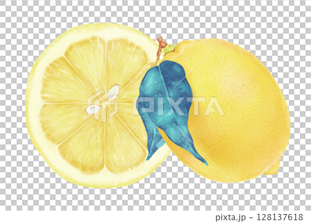 夏日清爽檸檬明信片 128137618