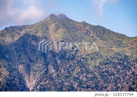 日本百名山宮之浦岳　世界自然遺産屋久島(春 128137784