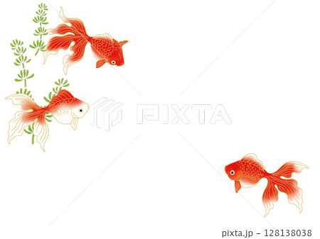 金魚と水草の和柄背景素材 金魚と水草の和柄背景素材 128138038