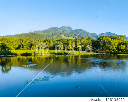 いもり池と妙高山（夏） 128138053
