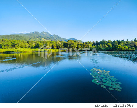 いもり池と妙高山（夏） 128138065