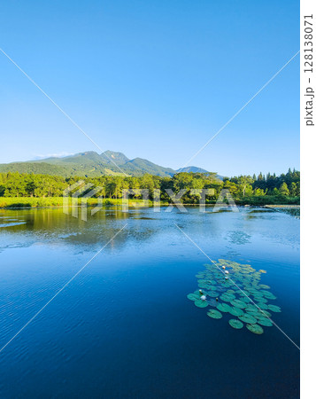 いもり池と妙高山(夏) いもり池と妙高山(夏) 128138071