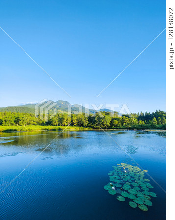 いもり池と妙高山（夏） 128138072