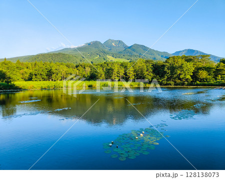 いもり池と妙高山（夏） 128138073