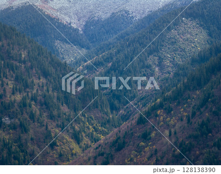 Aerial view of beautiful autumn forest landscape in China 128138390