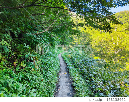 夏の妙高山登山（燕登山道 北地獄谷） 128138462