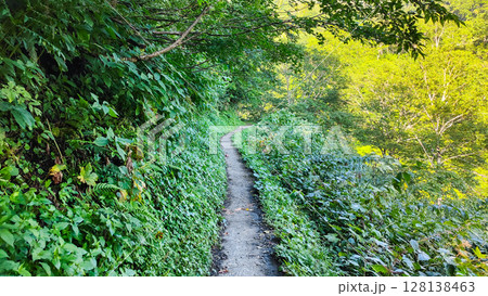 夏の妙高山登山（燕登山道 北地獄谷） 128138463