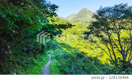 夏の妙高山登山(燕登山道 北地獄谷:正面に妙高山山頂) 夏の妙高山登山(燕登山道 北地獄谷:正面に妙高山山頂) 128138466