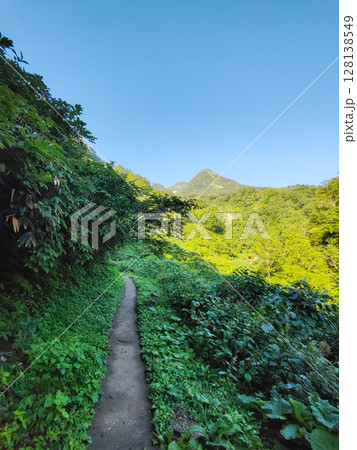夏の妙高山登山（燕登山道 北地獄谷：正面に妙高山山頂） 128138549